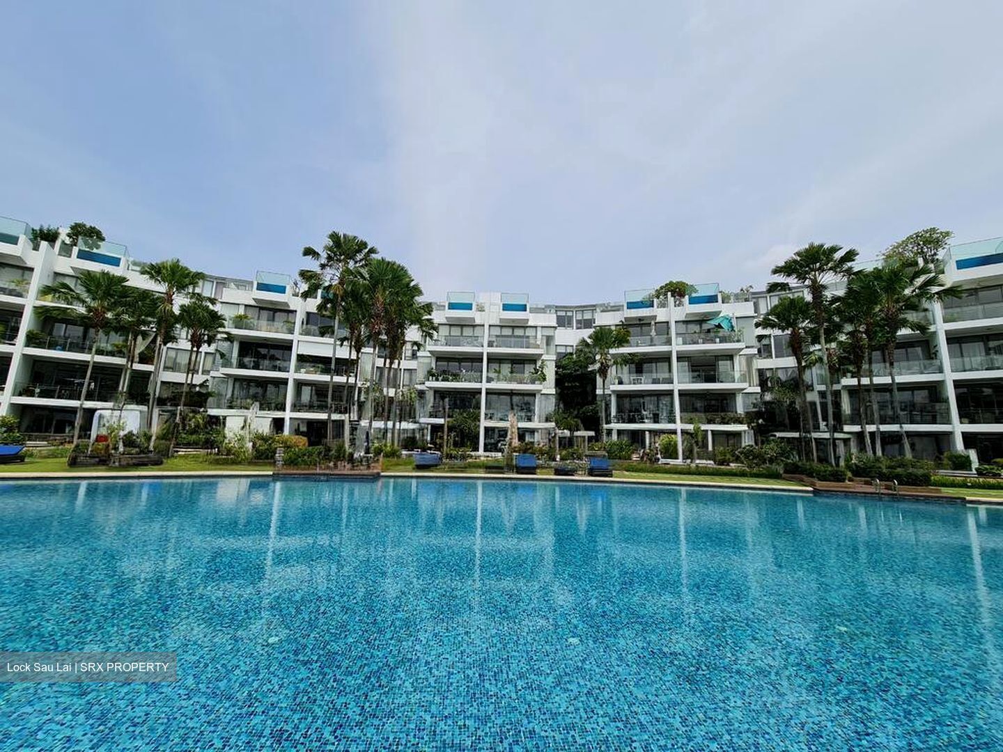 Marina Collection (D4), Condominium #500253021